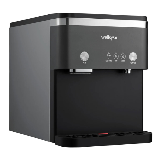 Wellsys WS15000 Field Manual