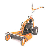 AS MOTOR Allmaher AS 63 2T Workshop Manual