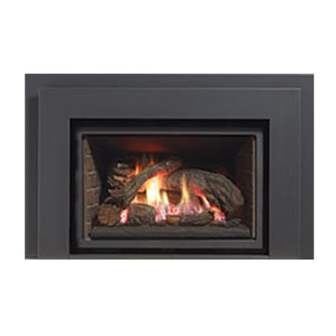 Regency Fireplace Products L390E Owners & Installation Manual