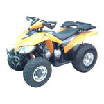 Sym Track Runner 200 Service Manual