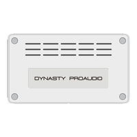 Dynasty ProAudio WSA-5RP Manual