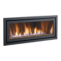 Regency Fireplace Products Horizon HZ54E-NG Owners & Installation Manual