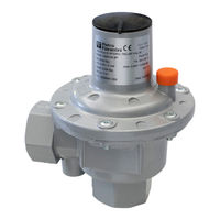 PIETRO FIORENTINI VSAM 65 TR Manual
