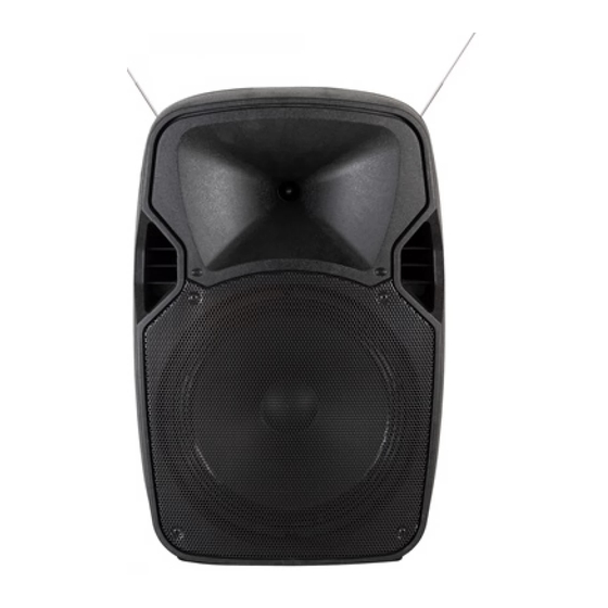 Somogyi Elektronic SAL PAB 31BT Speaker Manuals