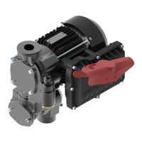 Piusi EX100 Use And Maintenance