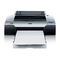 Printer Epson Stylus Pro 4880 ColorBurst Edition - Stylus Pro 4880 ColorBurst Product Information Manual