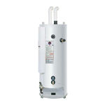 Bock Water heaters 100PDVI-250-XA 225 Specification Sheet