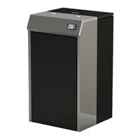 Ravelli HR EVO 250 Instructions For Installation, Use And Maintenance Manual