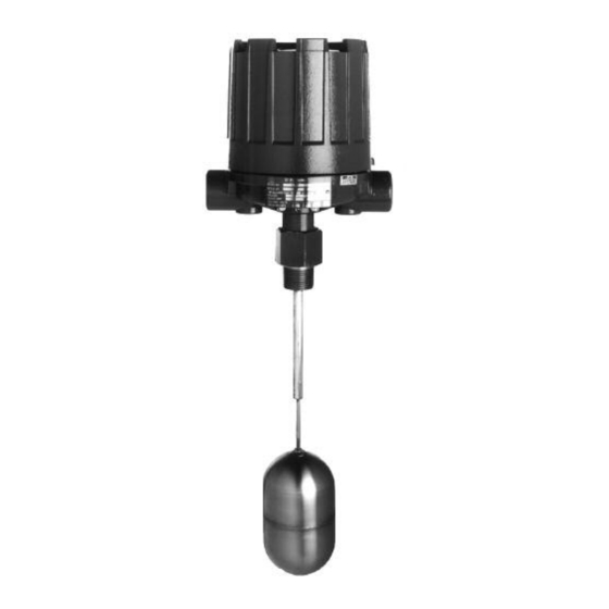 Magnetrol T20 Installation And Operating Manual