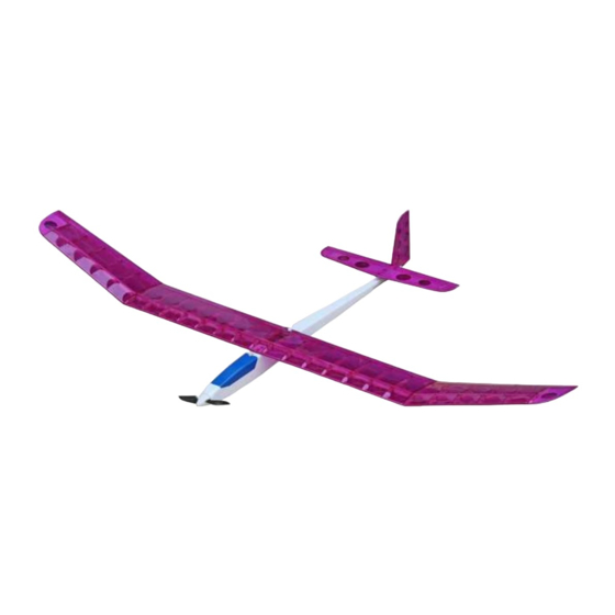 Pichler Amethyst III Manual