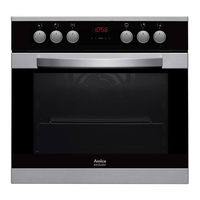Amica 2016C(G)2.334eETsDpHbX Instruction Manual