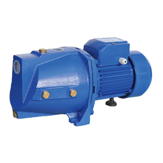 pumpa BLUE LINE 4STM Manuals