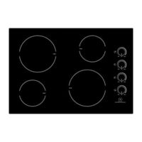 amzchef YL-EC4-307007 Instruction Manual