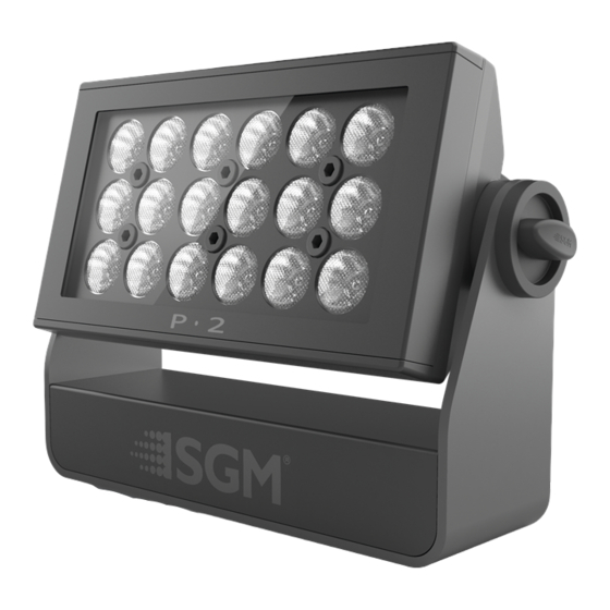SGM P-2 WASH LIGHT User Manual