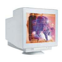 Nec MultiSync FE991SB User Manual