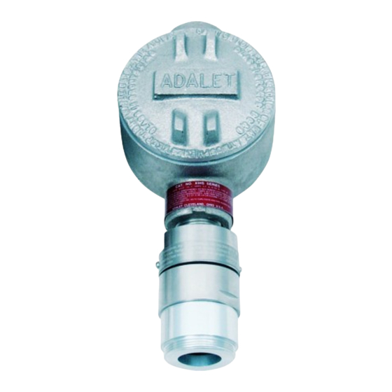 RKI Instruments 65-2451RK-05 Operator's Manual