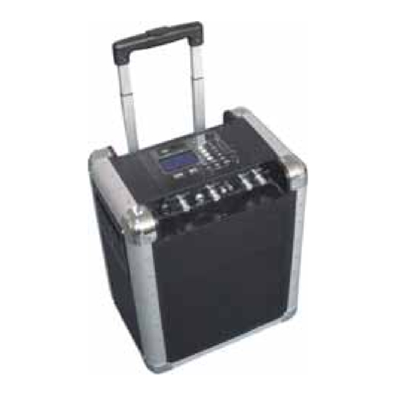 Skytec PA 200 User Manual