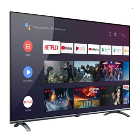 Allview 32ePlay6100-H/2 User Manual