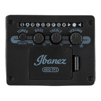 Ibanez AEQ-TP2 Information