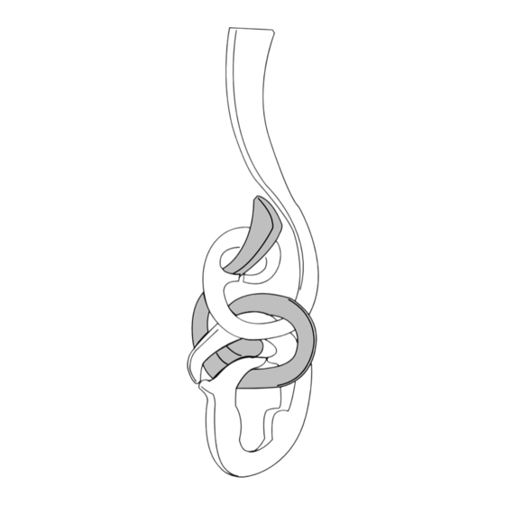 Hanayama CAST PUZZLE Key to Enigma Manual