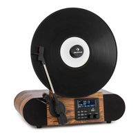 auna Verticalo SE DAB Manual