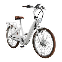 BESV CF1 Quick Assembly Manual
