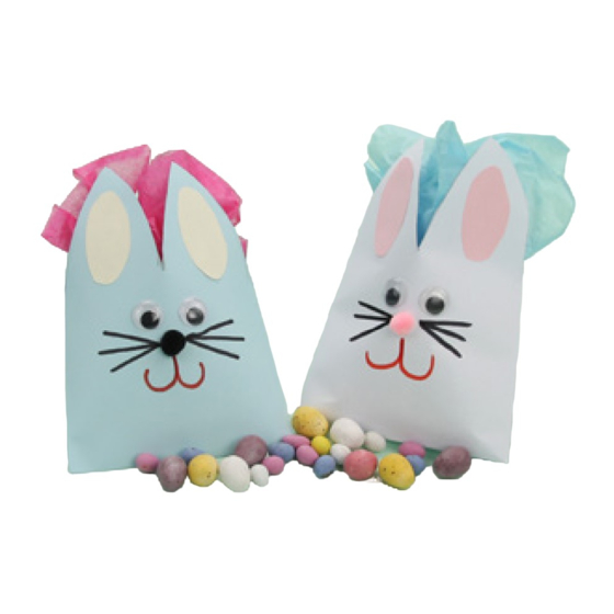 twinkl Bunny Envelope Instructions Manual