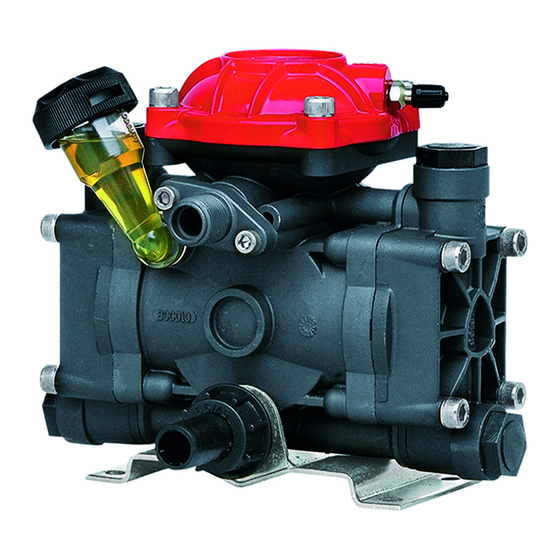 Annovi Reverberi AR202 Water Pump Manuals