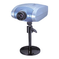 4xem W40 User Manual