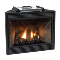 White Mountain Hearth DVP36FP71-3 NAT Installation Instructions And Owner's Manual