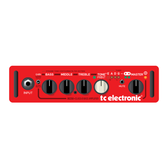 TC Electronic BH250 Manual