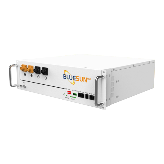 BlueSun BSM48106 User Manual