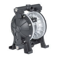 DYI SHENG DS10-AATXAXS-02 Operating Manual