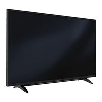 Grundig 43 VLX 8810 BP User Instructions