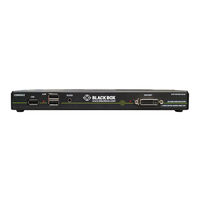 Black Box SS4P-DH-DVI-U User Manual