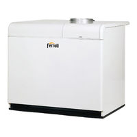 Ferroli PEGASUS LN 2S Series Instructions For Use, Installation And Maintenance