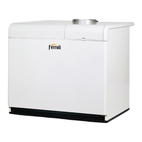 Ferroli PEGASUS LN 2S Series Instructions For Use, Installation And Maintenance