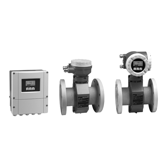 Endress+Hauser Proline Promag 55S Technical Information