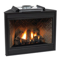 White Mountain Hearth DVP42FP30N-2 Installation Instructions And Owner's Manual