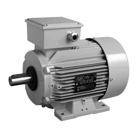 Leroy-Somer LSE Series General Manual: Installation And Maintenance