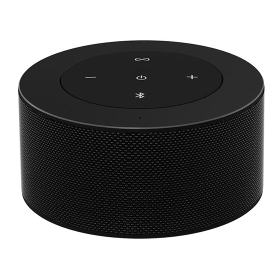 Sowo -P10 User Manual