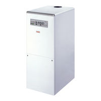 Fondital BALI B BTFSE 24 Use And Maintenance Instructions