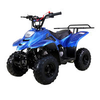 Tao Motor Boulder B110 Owner's Manual