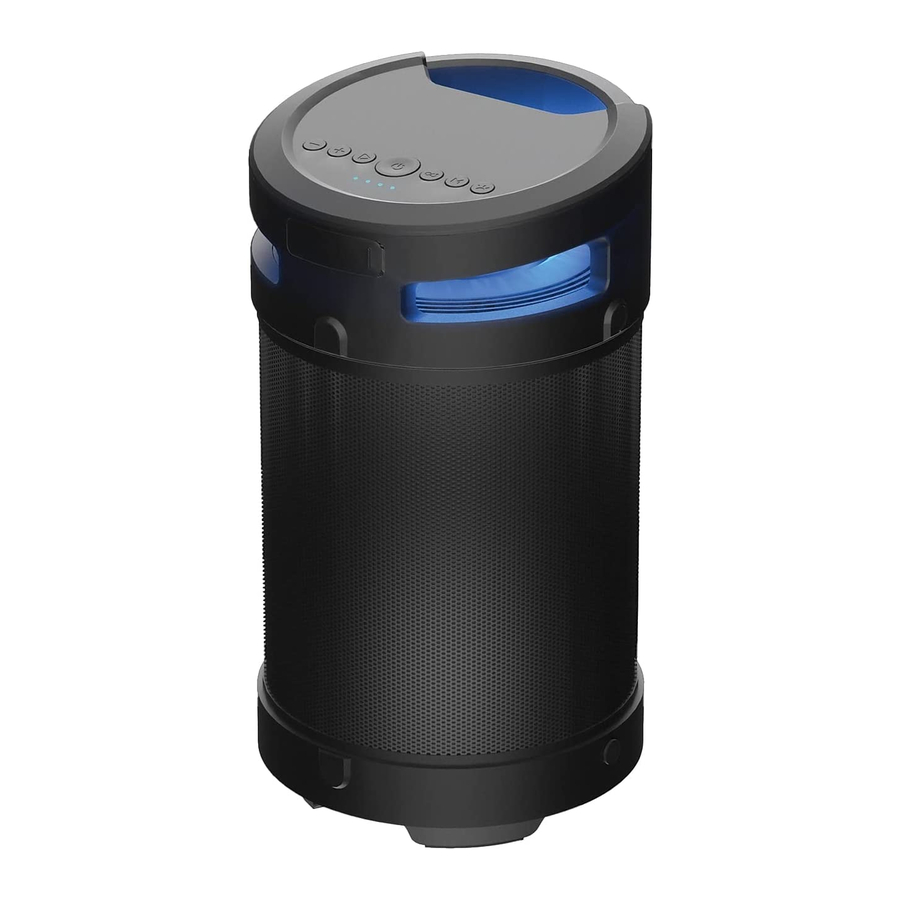 Raycon The Power Speaker RBS950 Manual
