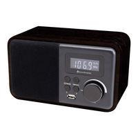 Soundmaster TR250 Manual