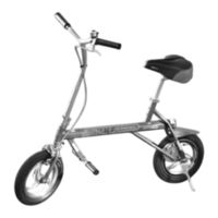 Trikke Bikke Owner's Manual