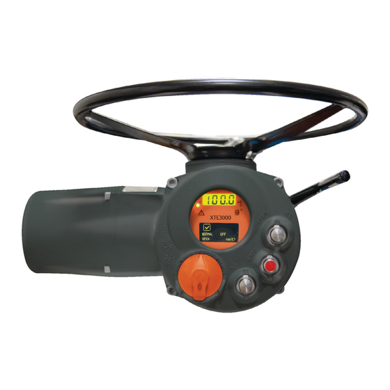 Emerson Bettis XTE3000 Maintenance Instruction