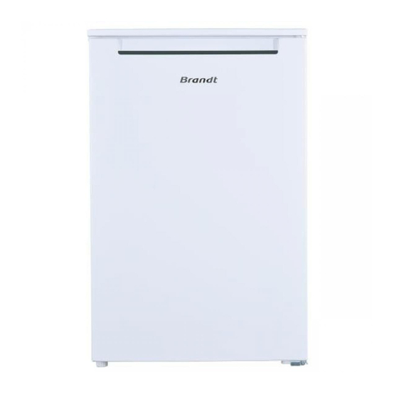 Brandt BST524SW Instruction Manual