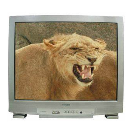 Sylvania SST4323 Service Manual