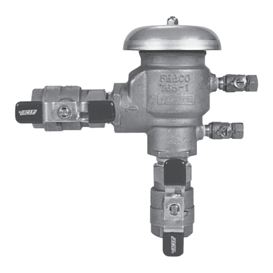 Febco Series 765 Service Instruction